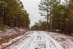property photo for Stone Bridge Phase IV Tract 250, 5.91 acres for sale in LatimerHaskell County, Oklahoma