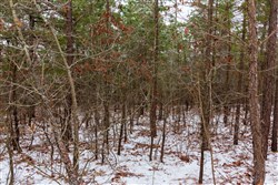 property photo for Stone Bridge Phase IV Tract 250, 5.91 acres for sale in LatimerHaskell County, Oklahoma