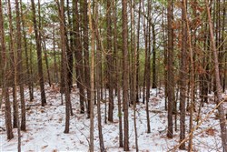 property photo for Stone Bridge Phase IV Tract 250, 5.91 acres for sale in LatimerHaskell County, Oklahoma