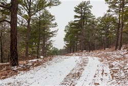 property photo for Stone Bridge Phase IV Tract 258, 9.6 acres for sale in LatimerHaskell County, Oklahoma