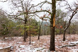 property photo for Stone Bridge Phase IV Tract 258, 9.6 acres for sale in LatimerHaskell County, Oklahoma