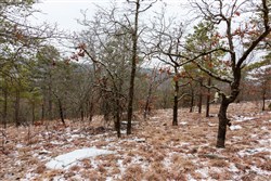 property photo for Stone Bridge Phase IV Tract 258, 9.6 acres for sale in LatimerHaskell County, Oklahoma