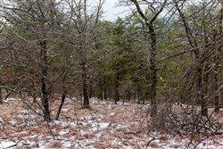 property photo for Stone Bridge Phase IV Tract 258, 9.6 acres for sale in LatimerHaskell County, Oklahoma