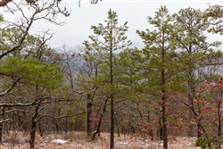 property photo for Stone Bridge Phase IV Tract 258, 9.6 acres for sale in LatimerHaskell County, Oklahoma