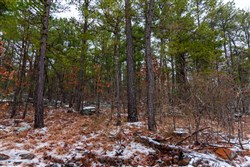property photo for Stone Bridge Phase IV Tract 264, 15.81 acres for sale in LatimerHaskell County, Oklahoma