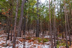 property photo for Stone Bridge Phase IV Tract 264, 15.81 acres for sale in LatimerHaskell County, Oklahoma