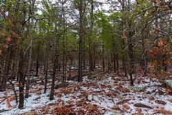 property photo for Stone Bridge Phase IV Tract 264, 15.81 acres for sale in LatimerHaskell County, Oklahoma