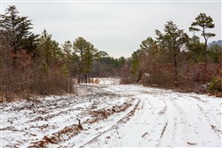 property photo for Stone Bridge Phase IV Tract 266, 6.04 acres for sale in LatimerHaskell County, Oklahoma