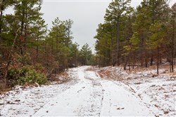 property photo for Stone Bridge Phase IV Tract 266, 6.04 acres for sale in LatimerHaskell County, Oklahoma
