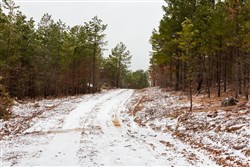 property photo for Stone Bridge Phase IV Tract 266, 6.04 acres for sale in LatimerHaskell County, Oklahoma
