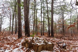 property photo for Stone Bridge Phase IV Tract 267, 14.23 acres for sale in LatimerHaskell County, Oklahoma