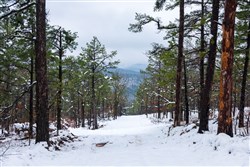 property photo for Stone Bridge Phase IV Tract 295, 14.65 acres for sale in LatimerHaskell County, Oklahoma