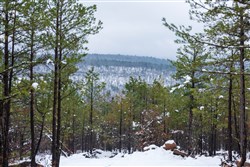 property photo for Stone Bridge Phase IV Tract 295, 14.65 acres for sale in LatimerHaskell County, Oklahoma