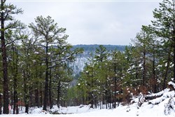 property photo for Stone Bridge Phase IV Tract 295, 14.65 acres for sale in LatimerHaskell County, Oklahoma