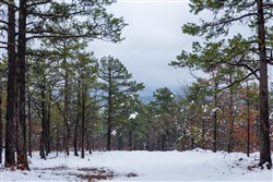 property photo for Stone Bridge Phase IV Tract 295, 14.65 acres for sale in LatimerHaskell County, Oklahoma