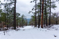 property photo for Stone Bridge Phase IV Tract 295, 14.65 acres for sale in LatimerHaskell County, Oklahoma