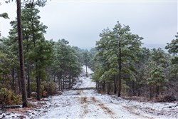 property photo for Stone Bridge Phase IV Tract 319, 21.31 acres for sale in LatimerHaskell County, Oklahoma