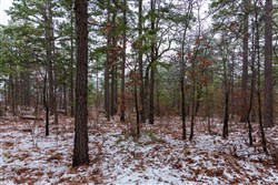property photo for Stone Bridge Phase IV Tract 319, 21.31 acres for sale in LatimerHaskell County, Oklahoma