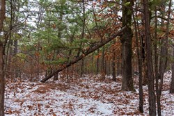 property photo for Stone Bridge Phase IV Tract 319, 21.31 acres for sale in LatimerHaskell County, Oklahoma