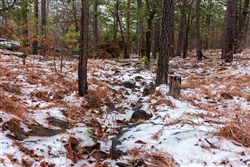 property photo for Stone Bridge Phase IV Tract 319, 21.31 acres for sale in LatimerHaskell County, Oklahoma