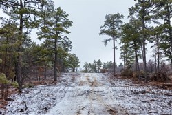 property photo for Stone Bridge Phase IV Tract 319, 21.31 acres for sale in LatimerHaskell County, Oklahoma
