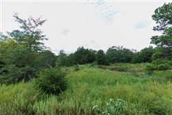 property photo for Stone Bridge Phase V Tract 334, 8.33 acres for sale in LatimerHaskell County, Oklahoma