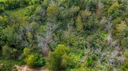 property photo for Stone Bridge Phase V Tract 334, 8.33 acres for sale in LatimerHaskell County, Oklahoma
