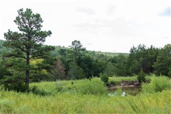property photo for Stone Bridge Phase V Tract 334, 8.33 acres for sale in LatimerHaskell County, Oklahoma