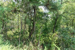 property photo for Stone Bridge Phase V Tract 347, 6.7 acres for sale in LatimerHaskell County, Oklahoma