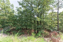 property photo for Stone Bridge Phase V Tract 347, 6.7 acres for sale in LatimerHaskell County, Oklahoma