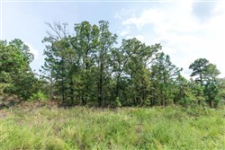 property photo for Stone Bridge Phase V Tract 347, 6.7 acres for sale in LatimerHaskell County, Oklahoma