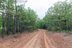 property photo for Stone Bridge Phase V Tract 359, 14.64 acres for sale in LatimerHaskell County, Oklahoma