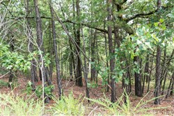 property photo for Stone Bridge Phase V Tract 359, 14.64 acres for sale in LatimerHaskell County, Oklahoma