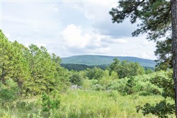 property photo for Stone Bridge Phase V Tract 359, 14.64 acres for sale in LatimerHaskell County, Oklahoma