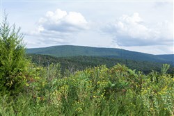 property photo for Stone Bridge Phase V Tract 359, 14.64 acres for sale in LatimerHaskell County, Oklahoma
