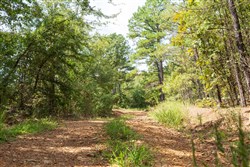 property photo for Stone Bridge Phase V Tract 379, 8.68 acres for sale in LatimerHaskell County, Oklahoma