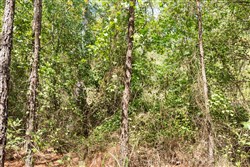 property photo for Stone Bridge Phase V Tract 379, 8.68 acres for sale in LatimerHaskell County, Oklahoma