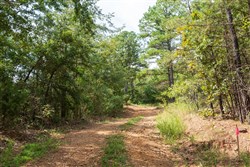 property photo for Stone Bridge Phase V Tract 379, 8.68 acres for sale in LatimerHaskell County, Oklahoma