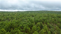 property photo for Stone Bridge Phase V Tract 399, 6.23 acres for sale in LatimerHaskell County, Oklahoma