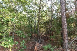 property photo for Stone Bridge Phase V Tract 399, 6.23 acres for sale in LatimerHaskell County, Oklahoma