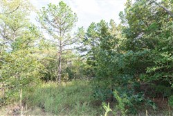 property photo for Stone Bridge Phase V Tract 399, 6.23 acres for sale in LatimerHaskell County, Oklahoma