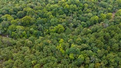 property photo for Stone Bridge Phase V Tract 399, 6.23 acres for sale in LatimerHaskell County, Oklahoma