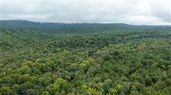 property photo for Stone Bridge Phase V Tract 400, 5.28 acres for sale in LatimerHaskell County, Oklahoma