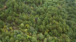 property photo for Stone Bridge Phase V Tract 400, 5.28 acres for sale in LatimerHaskell County, Oklahoma