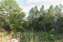 property photo for Stone Bridge Phase V Tract 400, 5.28 acres for sale in LatimerHaskell County, Oklahoma