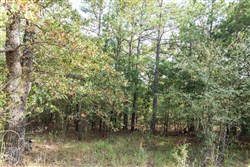 property photo for Stone Bridge Phase V Tract 400, 5.28 acres for sale in LatimerHaskell County, Oklahoma