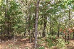 property photo for Stone Bridge Phase V Tract 400, 5.28 acres for sale in LatimerHaskell County, Oklahoma