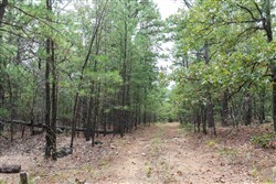 property photo for Stone Bridge Phase V Tract 401, 5.54 acres for sale in LatimerHaskell County, Oklahoma