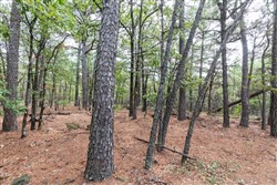 property photo for Stone Bridge Phase V Tract 401, 5.54 acres for sale in LatimerHaskell County, Oklahoma