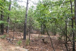 property photo for Stone Bridge Phase V Tract 401, 5.54 acres for sale in LatimerHaskell County, Oklahoma